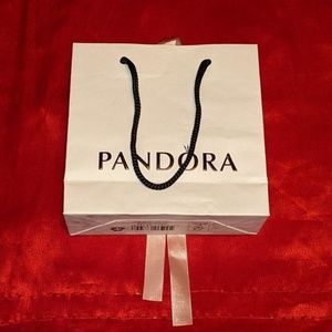 Pandora Shopping Bag💥PRICE DROP💥